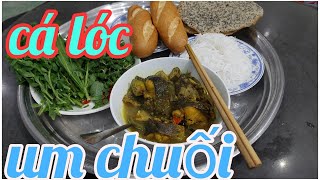 Cách làm cá lóc nướng giấy bạc cuốn bánh tráng ngon tuyệt đỉnh vị đồng quê