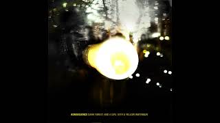 Disco Ball with Gula  Bonus 