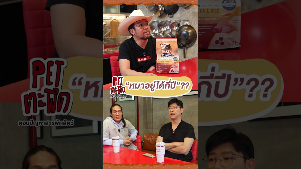"อายุขัยของหมา" อยู่ได้กี่ปี??!