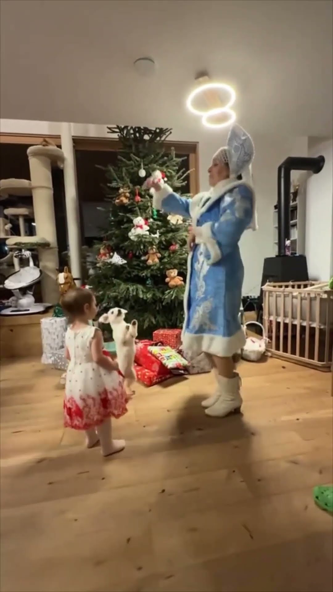Dog Dances with Woman in Snow Maiden Costume at Christmas Party