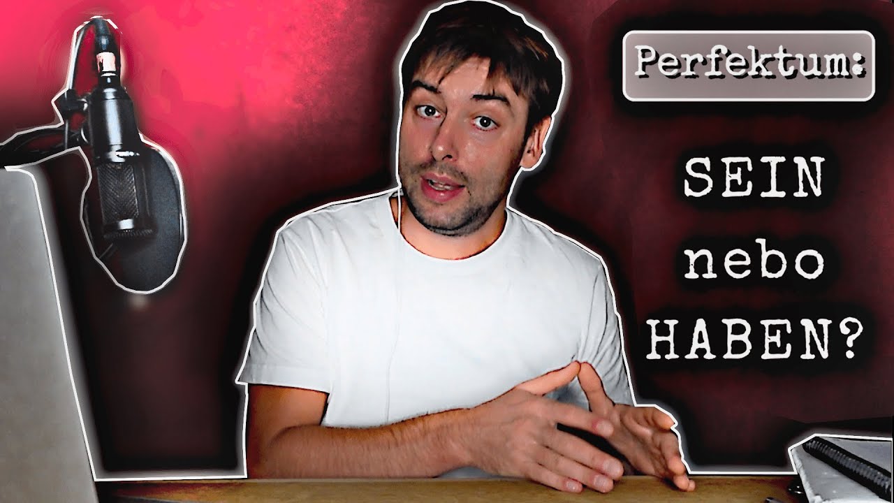 Němčina #15 SEIN nebo HABEN?  | pohybová a nepohybová slovesa | minulý čas PERFEKTUM