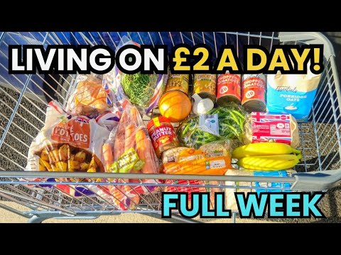 2 a Day Challenge Healthy Filling Meals on a Super Low Budget