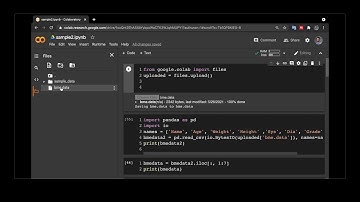 How to load a file in Google Colab