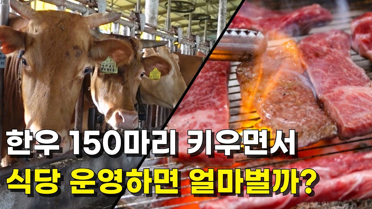 한우 150마리 키우면서 코스식당까지 운영하면 한달에 얼마벌까?