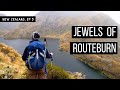 PRICEY HUTS AND MAGNIFICENT VIEWS // Days 1-2 of Routeburn track, New Zealand