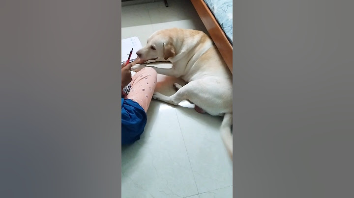 🔥அக்கா வாங்குற முட்டை gakaharku தான்💥 #shorts #funnypets #cuteanimals #cutedogs #funniestanimals #yt