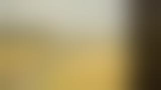 Pornographer Playback