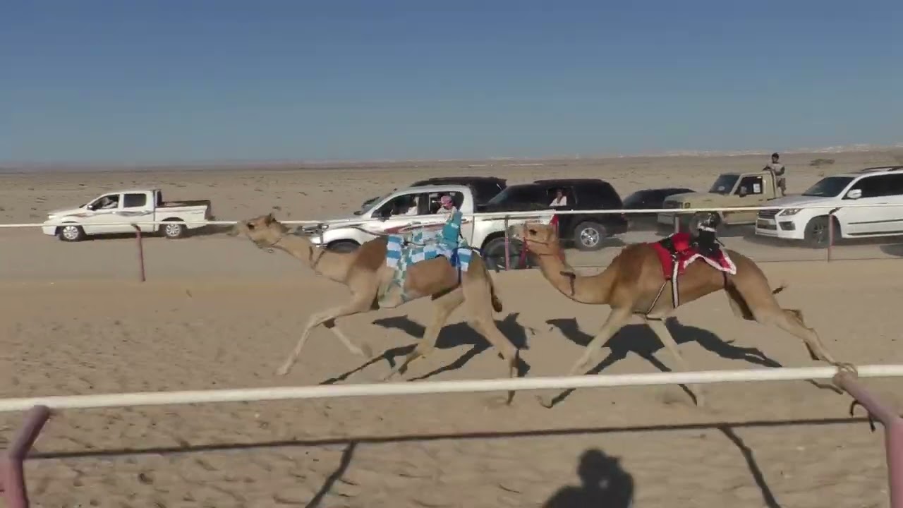 منبع ل محمد حمد ناصر الجنيبي