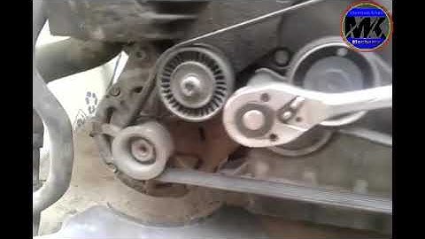 Engine Belt Audi A8L  2006