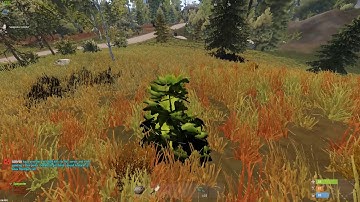 RUST 2018 11 13   19 32 51 02 DVR Trim