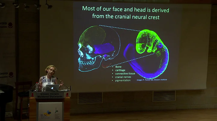 ELSC 7 - Joanna Wysocka