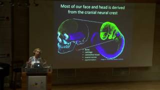 ELSC 7 - Joanna Wysocka