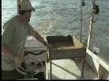 Shrimping Off Kiawah Island, South Carolina
