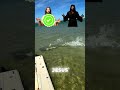 Shark Almost Caught the Stingray — But This Happened 🤯#shorts