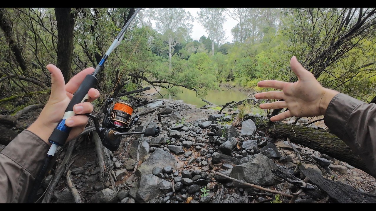 Top Water In The Rain!!!