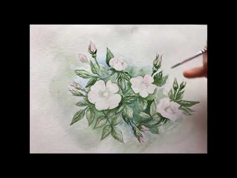 Рисование акварелью. "Цветущий шиповник"