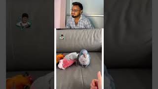 Best Actor Ka Award Iss Tota Ko Do!😂 Epic Late Reaction 🦜 #reels #funny #shortsfeed #comedy #viral
