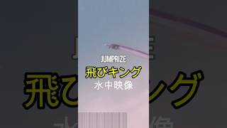 JUMPRIZE 飛びキング　水中映像 #釣り #fishing　#ショアジギング