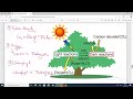 CBSE CLASS 10 life process | class 10 science |class 10 life processes | nutrition in plants 01