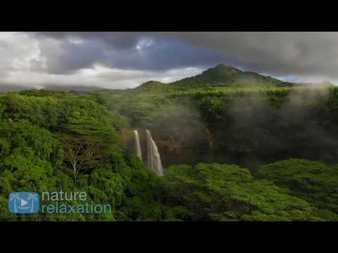 best-of-2018:-12-hours-of-healing-music-&-amazing-4k-nature-scenes-by-nature-relaxation™