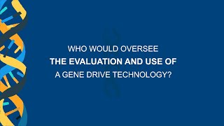 Who would oversee the evaluation and use of a gene drive technology?