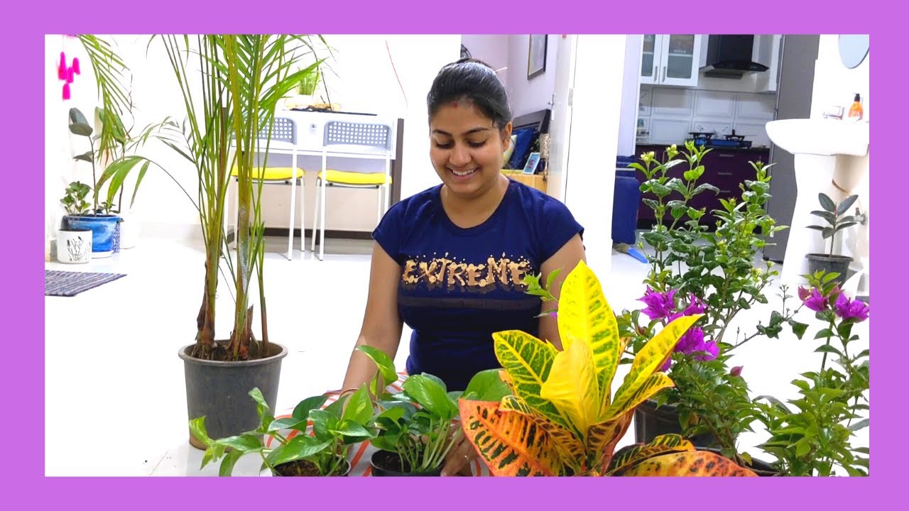 Plant Shopping After 5 Months🤗 One Of The Largest & Cheapest Nursery