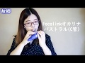 【試奏動画】Focalinkオカリナ「パストラル」