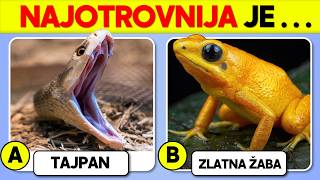 Download Lagu ✅Koliko Dobro Poznajete ŽIVOTINJE?🐸🐍| Kviz Opšteg Znanja🦂 MP3