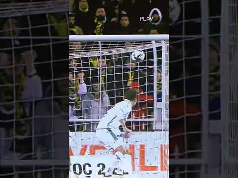 Pelkas'ın golü ve sevinci 💪🏻😂 #pelkas #fenerbahçe #football #süperlig