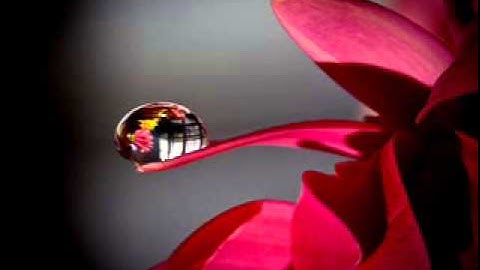 سورة نوح برواية ورش الاصبهاني ابو عبد الله المظفر