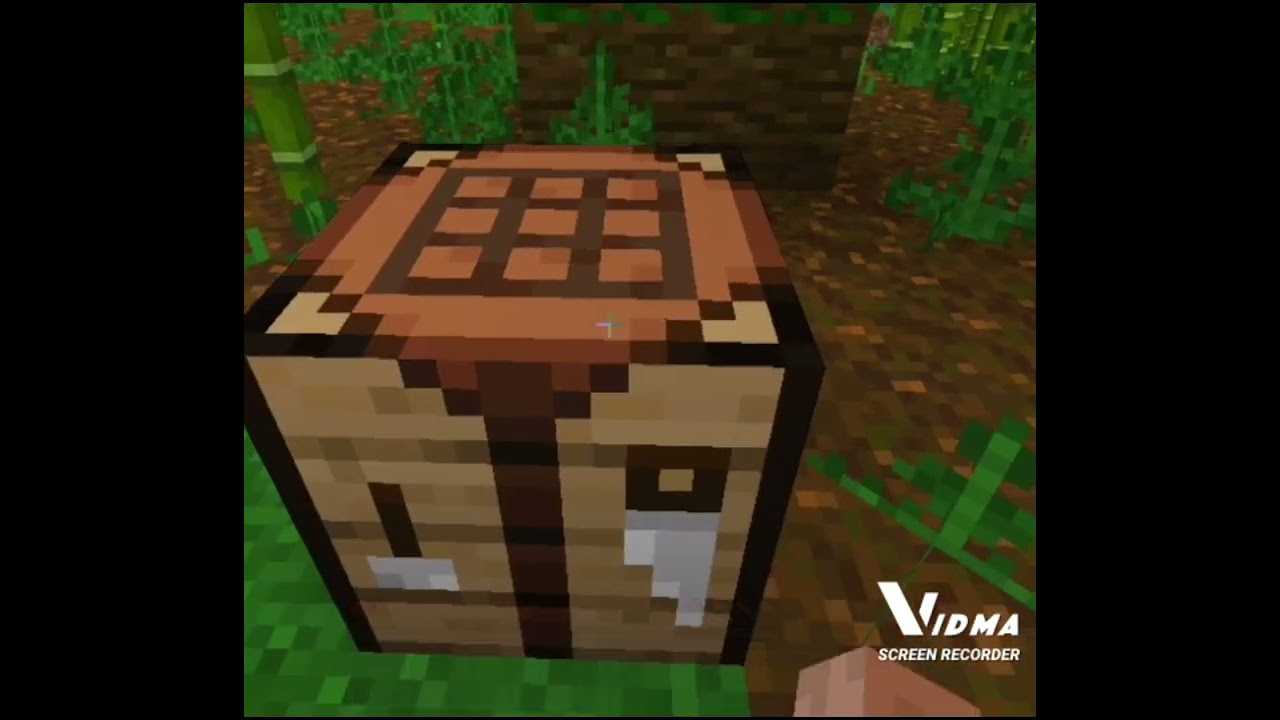 Minecraft survival||minecraft mojang