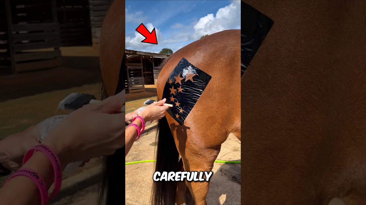 A Girl Put a Star on Her Horse… and It’s Magical ✨🐴 #shortvideo