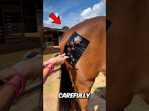 A Girl Put a Star on Her Horse… and It’s Magical ✨🐴 #shortvideo