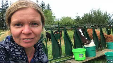 Open Farm Day 2020- NS Farm #27: Thyme For Ewe Farm (3/3)