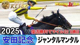 安田記念2026の前に見たい！ジャンタルマンタルが勝利した2025年【胸熱