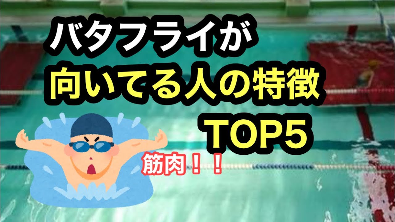 【水泳】バタフライが向いてる人の特徴TOP5