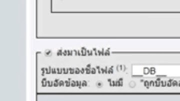 การ export ฐานข้อมูล phpmyadmin