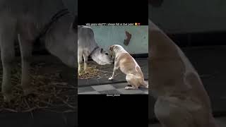 This Is The Point Where I Always Fall My Heart