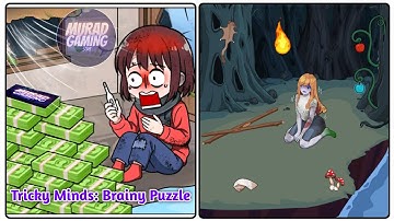 Tricky Minds Brainy Puzzle Level 60: Gameplay Solution