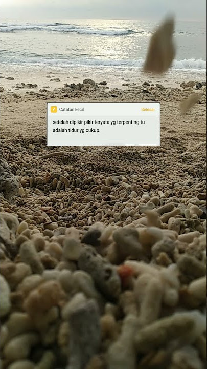 sunflower-rex orange county||story WA
