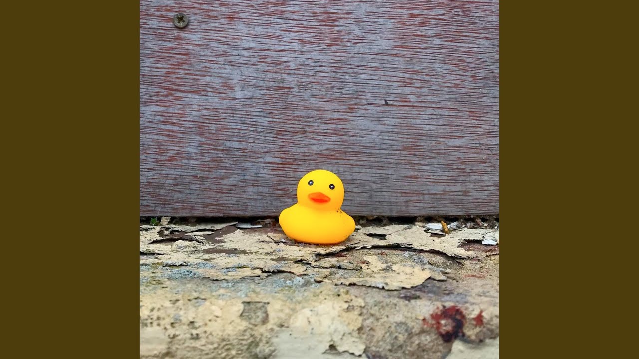 Canopy adlı videoyu YouTube'da izle Canopy adlı videoyu YouTube'da izle