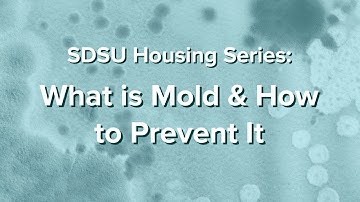What is Mold and How to Prevent It - SDSU Housing Series: Part 1