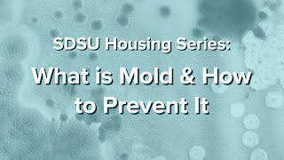 What is Mold and How to Prevent It - SDSU Housing Series: Part 1