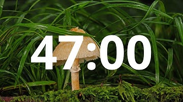 47 Minute Countdown Timer With Alarm (Simple Beep)