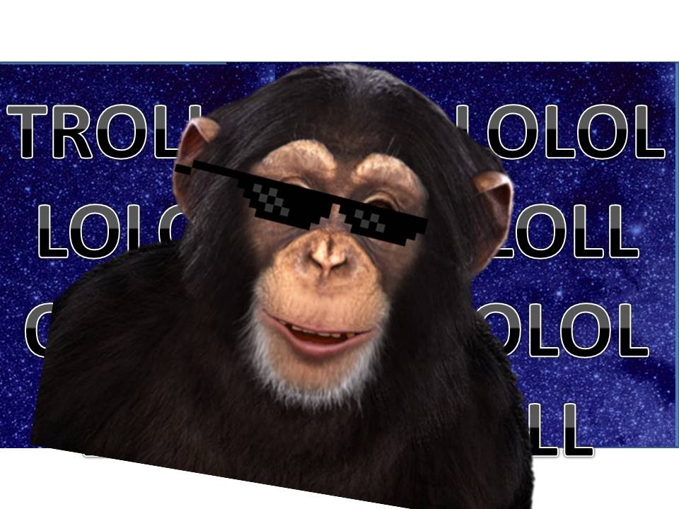 Face Pizza and Memes // Chimbot - YouTube