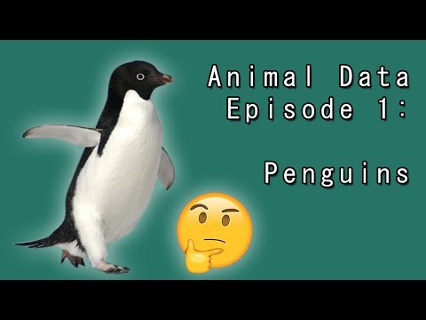 Animal Data - Episode 1: Penguins