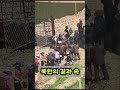 [북한엿보기] 극명하게 나눠지는 북한의 겉과 속 #김정은 #북한 #조선