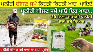 ਪਨੀਰੀ ਬੀਜਣ ਸਮੇਂ ਖਾਦਾ ਦਾ ਸਹੀ ਪ੍ਬੰਧ • paddy nursery fertilizer management | agri advice