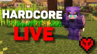 hardcore (crazy right)
