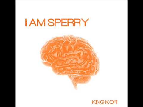 I AM SPERRY - Sperry Study (Hemispheric deconnection)
